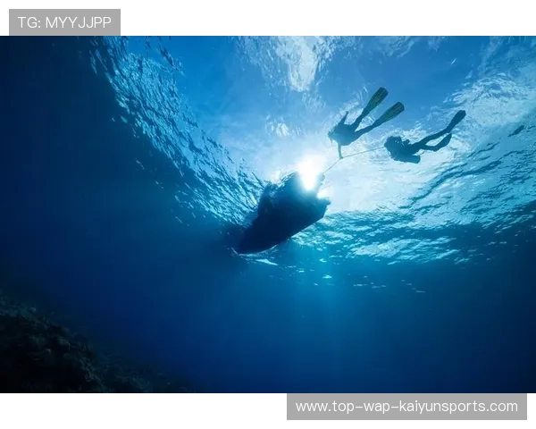 海底潜水摄影争霸，展现深海美丽风光，海底潜水照片